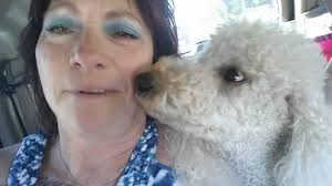 Bulldog family photo from the driver's seat