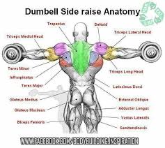 Go to la fitness portal page via official link below. Weights Training Fitness Motivation Inspiration Bodybuilding Workouts Shoulder Workout