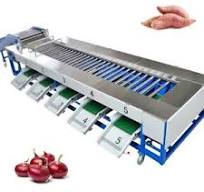 High Quality Blueberry Sorters - Efficient Grading Solutions