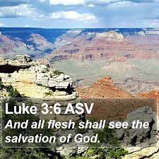 Luke 3:6 Asv - And All Flesh Shall See The Salvation Of