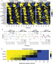 Considerations For Rna Seq Analysis Of Circadian Rhythms Rna Seq Blog Circadian Rhythm Analysis Rhythms