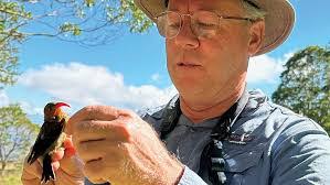 May Bird's Instagram, Twitter & Facebook