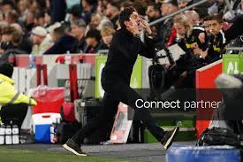 brentford vs chelsea