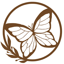 Momentum Alliance | Inspire Future Social Justice Leaders