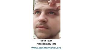 DomesticGunViolence 🟧