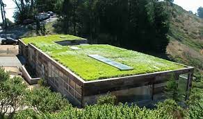 Maybe you would like to learn more about one of these? Hardscaping 101 Green Roofs Gardenista