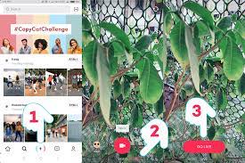 How To Go Live On Tik Tok Updated 3nions