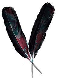 Pin By Sashi On Theodore Raven Feather Crow Feather Black Feathers