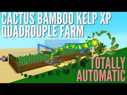 This cactus farm is easy to build but it is very repetitive. Xp Farm How To Make An Infinite Automatic Kelp And Cactus Farm In Minecraft 1 14 With Avomance Ø¯ÛŒØ¯Ø¦Ùˆ Dideo
