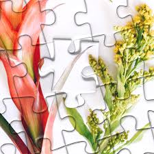 The materials you need to use are cardboard (paper with a hard surface can be a substitute), sc. Buy Betterco Bold Botanicals Puzzle 500 Pieces Difficult Jigsaw Puzzles 500 Pieces Challenge Yourself With 500 Piece Puzzles For Adults Teens And Kids Online In Usa B084fxyq4j