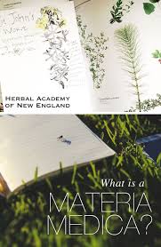 What Is A Materia Medica Herbal Academy Herbalism Materia Medica Herbal Medicine