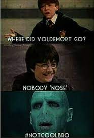 20 Funniest Memes Harry Potter Memes Run Harry Potter Images Harry Potter Jokes Harry Potter Feels
