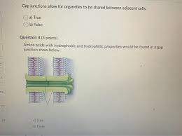 We did not find results for: Question 1 3 Points The Tight Junctions Of Animals Chegg Com