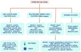 We did not find results for: A Comprehensive Overview Of Vaccines Developed For Pandemic Viral Pathogens Over The Past Two Decades Including Those In Clinical Trials For The Current Novel Sars Cov 2 Rsc Advances Rsc Publishing
