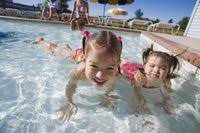 They are considered to be nature's cleanup crew, as they help to keep the ground clear of dead animals, organic waste, and dead insects. Pin On Pool