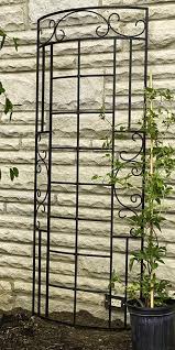 Panacea Romantic Curved Garden Trellis Black 72 H Pk Of 5 At Bestnest Com Modern Garden Trellis Garden Trellis Modern Garden