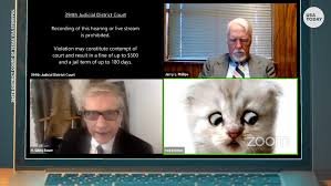 Things didn't exactly go purrfectly on texas lawyer rod ponton's recent virtual call, but the resulting viral vid has drawn attention to an obscure animation's origins. Cat Filter Zoom Fail Lawyer Appears In Court As Talking Kitten