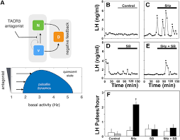 Image result for GnRH Stimulation Test