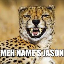 I Ve Got A Pet Cheetah Down In My Basement Ive Raised Him And Named Him Jason Twenty One Pilot Memes Twenty One Pilots One Pilots