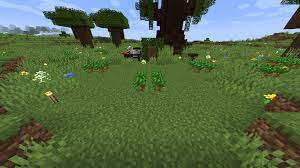 Additionally, dark oak trees require 5×5 layers without obstruction for the top 3 layers of its final height. Why Won T My Dark Oak Saplings Grow Discussion Minecraft Java Edition Minecraft Forum Minecraft Forum