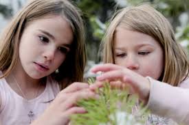 Personalized learning: Celebrating and nurturing each learner's passions,  interests and skills