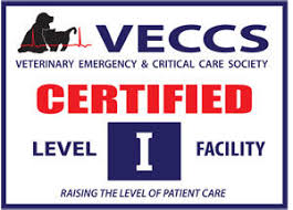 We also provide wellness vet care for pets who do not have a primary care veterinarian. Emergency Critical Care Friendship Hospital For Animals