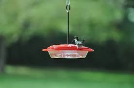 Most hummingbird feeders have 3 or 4 feeding ports. Diy Hummingbird Feeder How To Make A Hummingbird Feeder Happy Diy Home