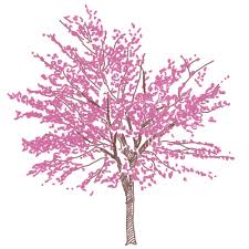 Check spelling or type a new query. Redbud Wisconsin Food Forests