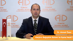 Alerjinin Bagisiklik Sistemi Ile Iliskisi Nedir Turkiye Ulusal Alerji Ve Klinik Immunoloji Dernegi
