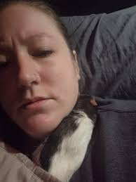 What to do with deceased pet rats?