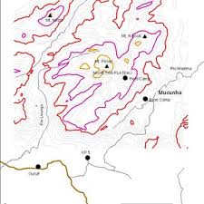 Image result for Pavetta gurueensis