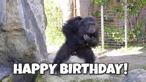 Видео о армянской культуре, армении, армянах и все что связанно с ними. Happy Birthday Monkeys Youtube