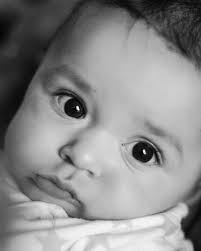 Amy Dash Photography