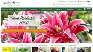 Als professioneller gartenversand steht das traditionsunternehmen gärtner pötschke bereits seit dem jahr 1912 für absolute spitzenqualität und gelebte gartenleidenschaft. Bakker Insolvenzverfahren Kommen Ins Laufen Gabot De