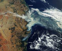 Watching Your Home Burn From Halfway Across The World Reflections On The 2019 2020 Australian Bushfires Nature Portfolio Ecology Evolution Community