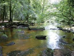 La Riviere Ou Le Ruisseau De Pontcallec En Aval De L Etang Dans La Foret Commune De Berne Departement Du Morbiha Paysage Riviere Foret De Broceliande Paysage