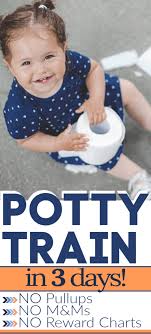 There is very little control between 12 to 18 months. Potty Training In 3 Days 18 Months Up Advice Tips