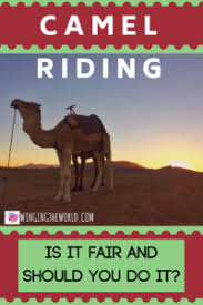 Marrakech camel ride do you want to follow the trails of the old caravan routes? Camel Riding Is It Ethical And What Is A Trekking Expedition Like