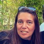 Daniel Tiemeyer's Instagram, Twitter & Facebook