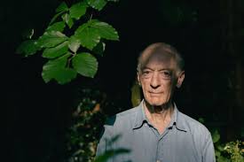 Klimaatwetenschapper Leo Meyer ziet het zonnig in. 'We gaan niet allemaal  sterven'