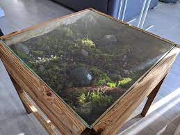 Looking for a good deal on glass terrarium? I Made A Coffee Table And Put A Moss Garden In It Pics