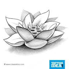 È il fiore di una pianta acquatica perenne nativa dell'asia tropicale e dell'australia.il loto ha un baccello caratteristico, dal quale si estendono bellissimi petali molto grandi. Tatuaggi Fiore Di Loto Cerca Con Google Tatuaggi Fiore Di Loto Fiore Di Loto Tatuaggi