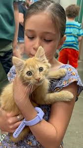 Hi all! I just wanted to introduce myself and share a photo I took. My new  baby who came home today with one of my grandsons.