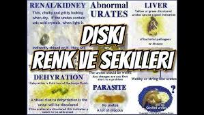 Muhabbet Kusu Ishal Sorunu Ve Tedavisi Youtube
