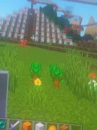 Why Won'T Dark Oak Saplings Grow? - Discussion - Minecraft: Java Edition -  Minecraft Forum - Minecraft Forum