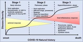 Early data showed that more than half of. Natural History Of Covid 19 And Current Knowledge On Treatment Therapeutic Options Sciencedirect