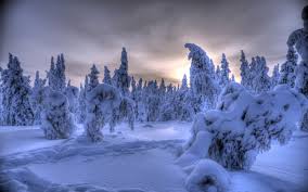 Right now we have 71+ background pictures, but the number of images is growing, so add the webpage to. Winter 2880x1800 Resolution Wallpaper Image Background Picture Wallpaperimageshd Com