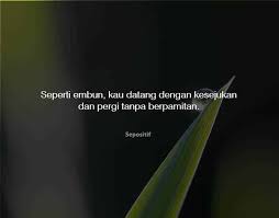 Dan semoga kata kata yang ada dibawah ini dapat membangkitkan semangat para pembaca di pagi hari. 30 Kata Kata Tentang Embun Yang Sejuk Di Pagi Hari Sepositif