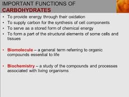 Important Functions Of Carbohydrates To Provide Energy Through Their Oxidation To Supply Carbon For The Synthesis O In 2020 Chemical Energy Carbohydrates Cell Membrane