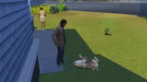 But don't worry, they'll always come home for the food. Caring For A Pet The Sims 4 Wiki Guide Ign